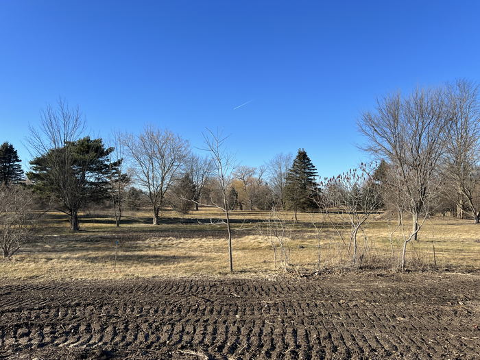 Romeo Golf & Country Club - Course Jan 14 2023 (newer photo)